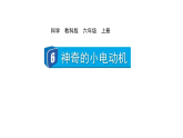 2024教科版科学六年级上册第四单元能量6神奇的小电动机教学课件