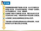 2024教科版科学六年级上册第一单元微小世界6观察水中的微小生物教学课件