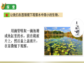 2024教科版科学六年级上册第一单元微小世界6观察水中的微小生物教学课件