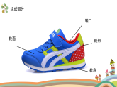 《各種各樣的鞋》精品課件 1