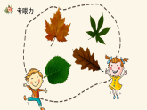 人美版（2024）美術(shù)三上第11課《拓印樹葉真有趣》精品課件