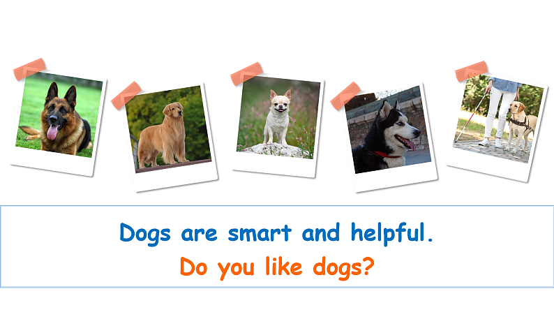 人教PEP版英语五下 Unit 5《Whose dog is it？》Part A Let's learn & Look, say and complete 课件第6页