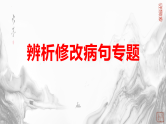 2025年中考语文一轮专题复习：《辨析修改病句专题》课件