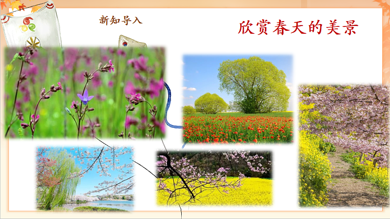 【新课标】人音版音乐二年级下册-《春之歌》课件第6页