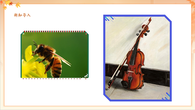 【新课标】人音版音乐二年级下册-《蜜蜂》课件第6页