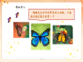 【2025年春新課標(biāo)核心素養(yǎng)】人音版音樂二下第3課第2課時(shí)《蝴蝶》教學(xué)設(shè)計(jì)+課件+素材