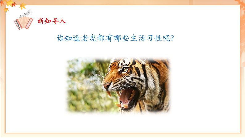 【新课标】人音版音乐二年级下册-《老虎磨牙》课件第5页
