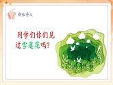 【2025年春新課標核心素養(yǎng)】人音版音樂二下第8課第4課時《我愛雪蓮花》教學設(shè)計+課件+素材