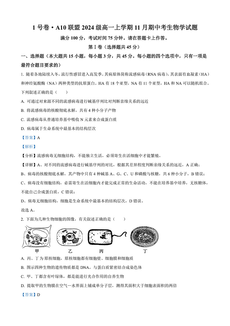 安徽省A10联盟2024-2025学年高一上学期11月期中联考生物试卷 Word版含解析第1页