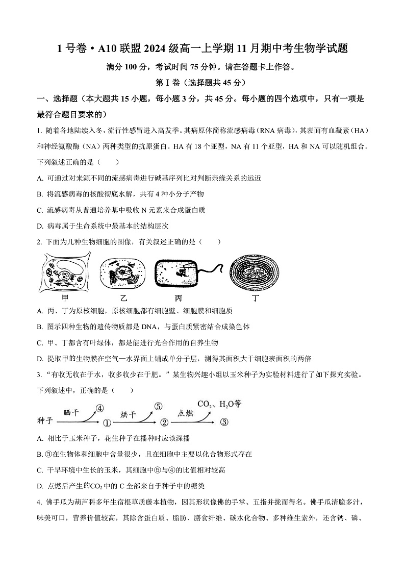 安徽省A10联盟2024-2025学年高一上学期11月期中联考生物试卷 Word版无答案第1页