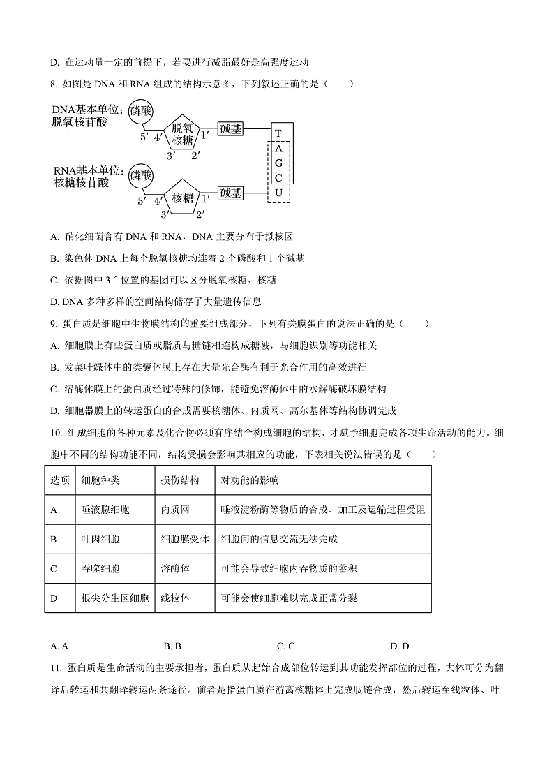 安徽省A10联盟2024-2025学年高一上学期11月期中联考生物试卷 Word版无答案第3页