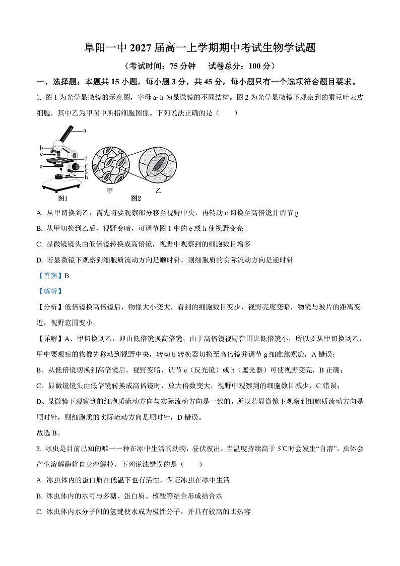 安徽省阜阳市第一中学2024-2025学年高一上学期期中生物试题  Word版含解析第1页