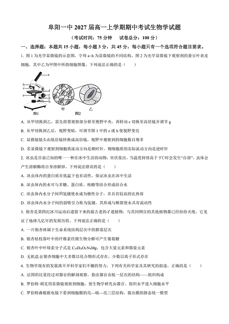 安徽省阜阳市第一中学2024-2025学年高一上学期期中生物试题  Word版无答案第1页