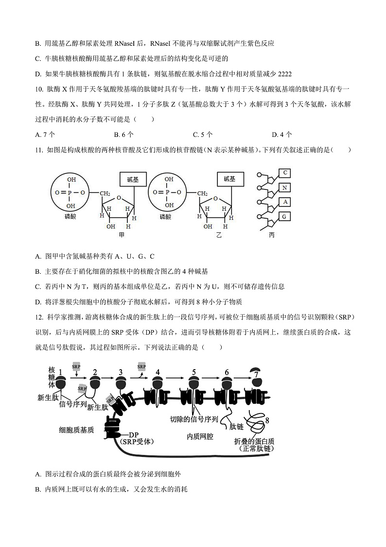 安徽省阜阳市第一中学2024-2025学年高一上学期期中生物试题  Word版无答案第3页