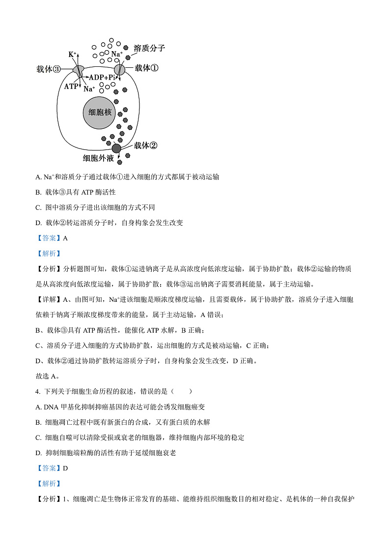 安徽省合肥市第一中学2024-2025学年高三上学期第二次教学检测生物试卷 Word版含解析第3页