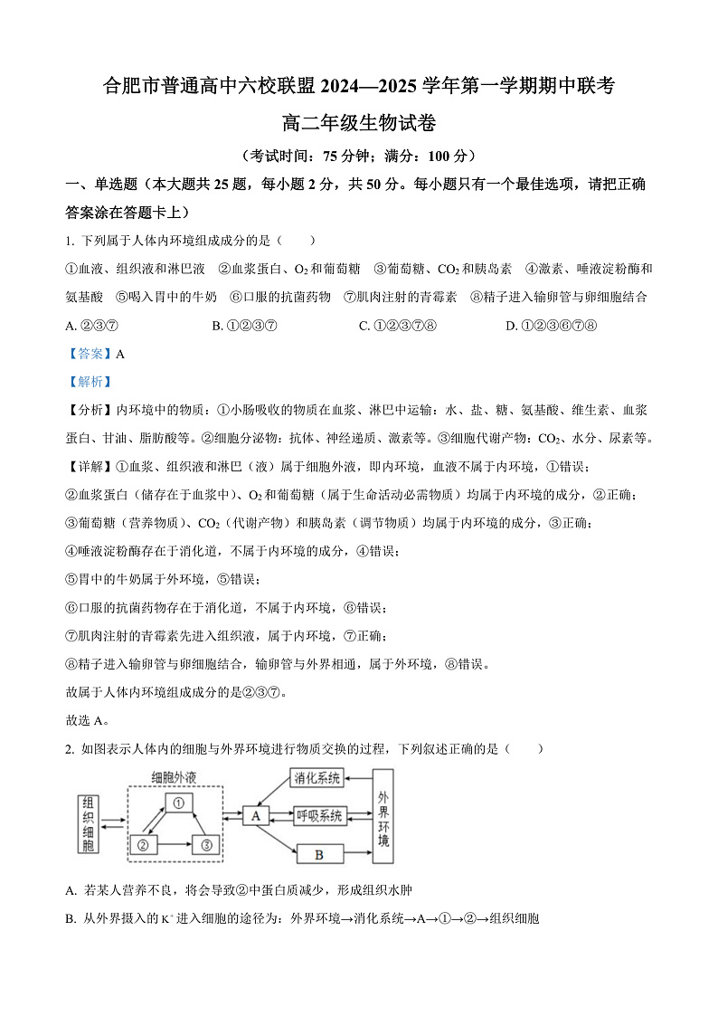 安徽省合肥市六校联盟2024-2025学年高二上学期期中考试生物试题 Word版含解析第1页