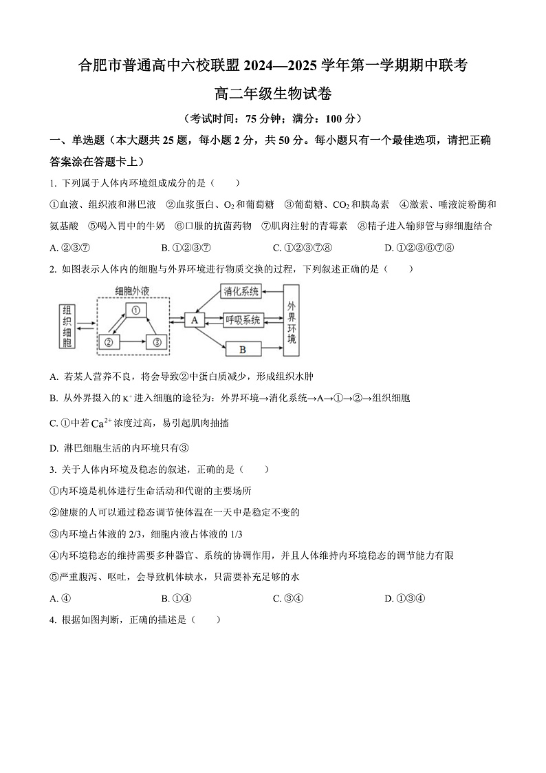 安徽省合肥市六校联盟2024-2025学年高二上学期期中考试生物试题 Word版无答案第1页