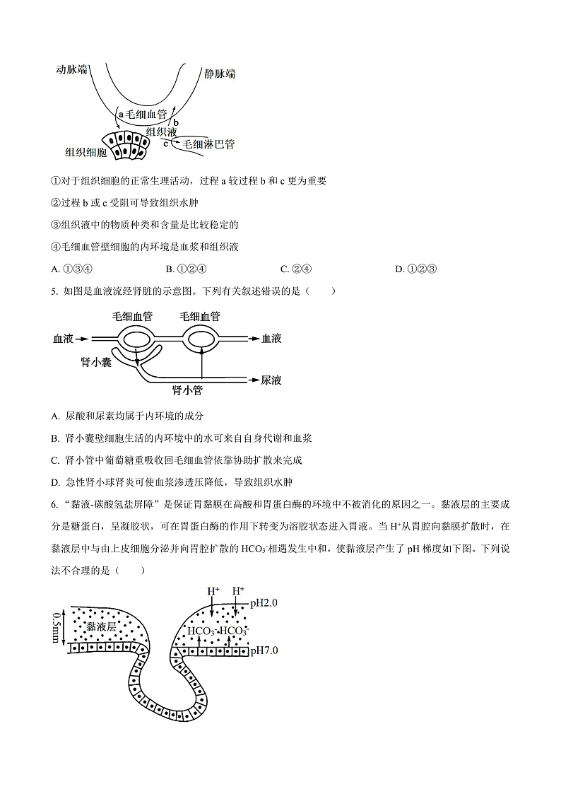 安徽省合肥市六校联盟2024-2025学年高二上学期期中考试生物试题 Word版无答案第2页