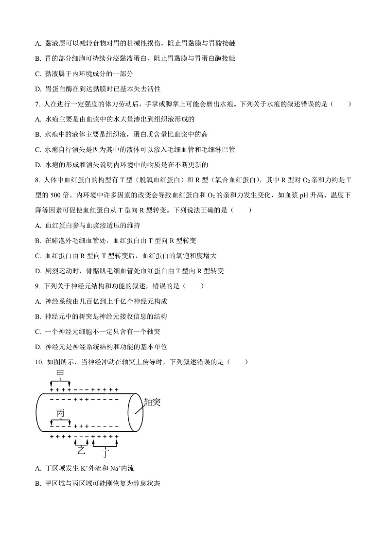 安徽省合肥市六校联盟2024-2025学年高二上学期期中考试生物试题 Word版无答案第3页