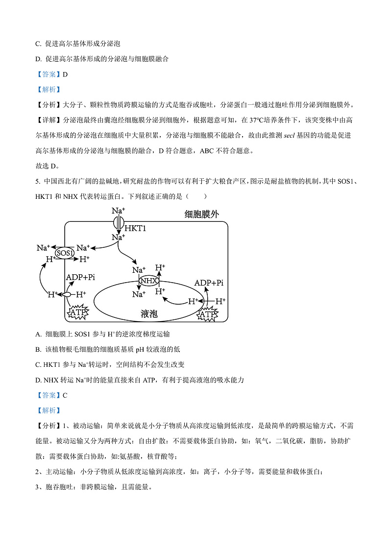 安徽省合肥市普通高中六校联盟2024—2025学年高三上学期期中联考生物试题 Word版含解析第3页