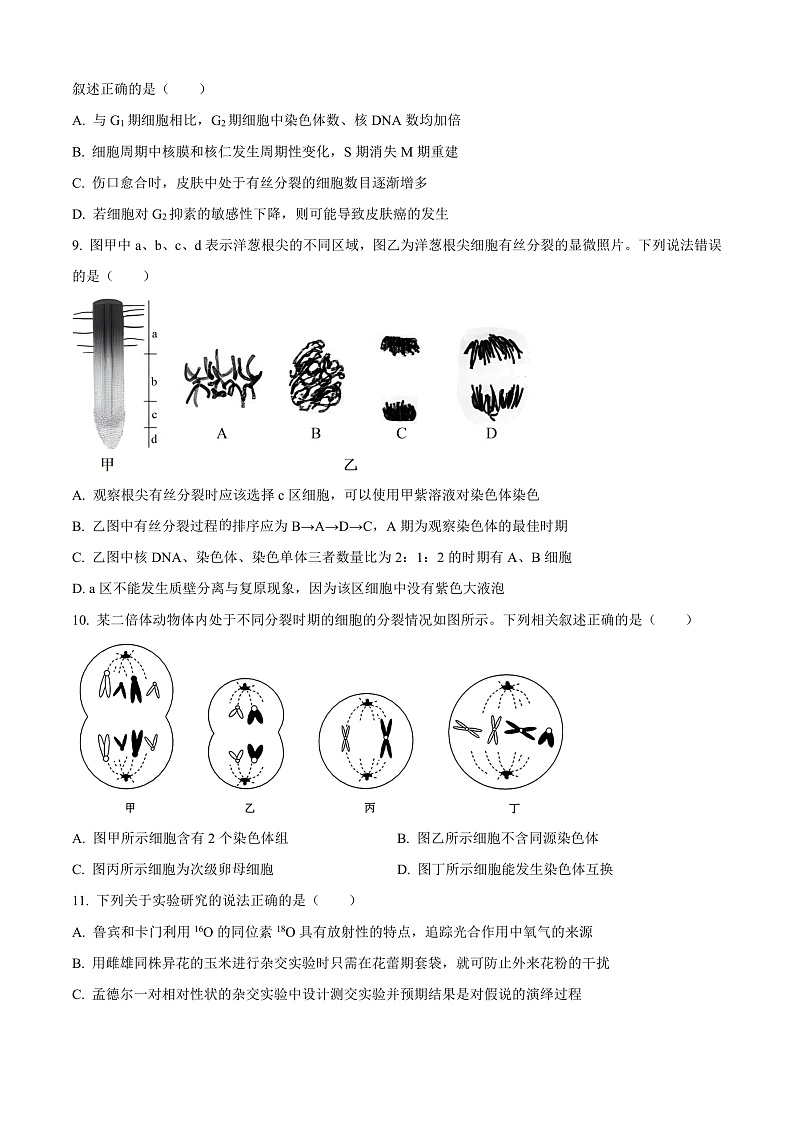 安徽省合肥市普通高中六校联盟2024—2025学年高三上学期期中联考生物试题 Word版无答案第3页