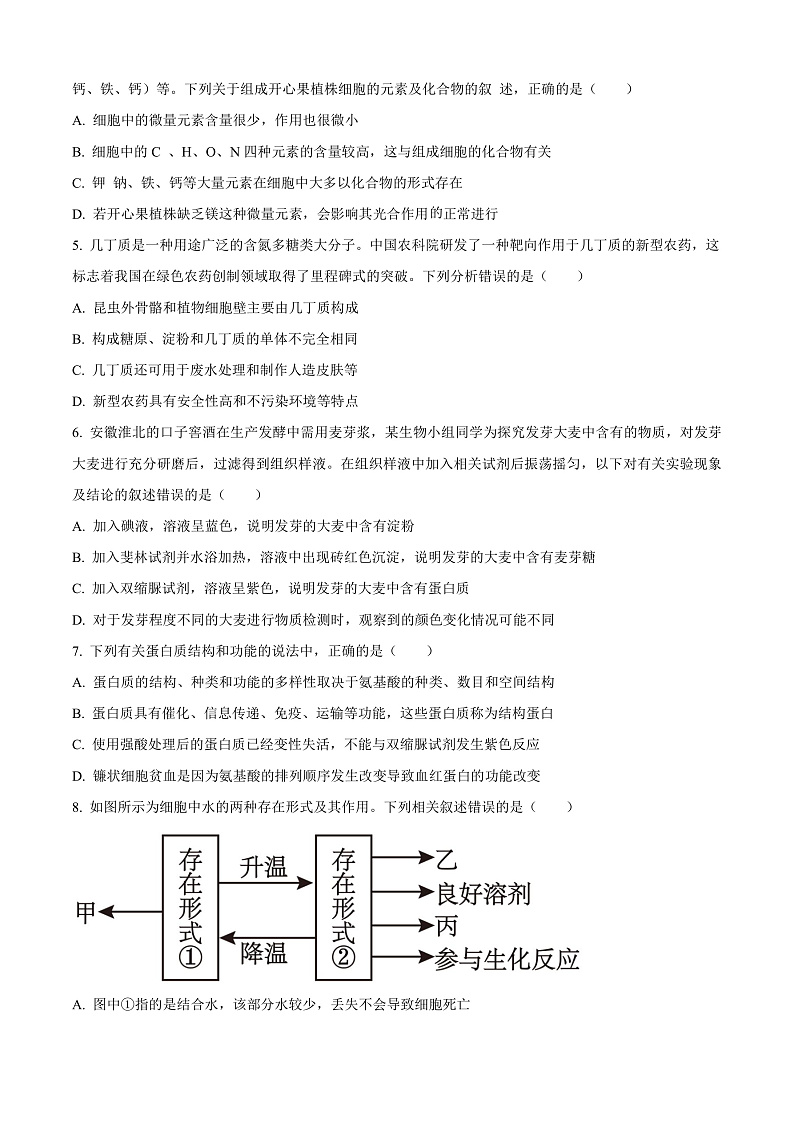 安徽省合肥一六八中学2024-2025学年高一上学期期中生物试卷  Word版无答案第2页