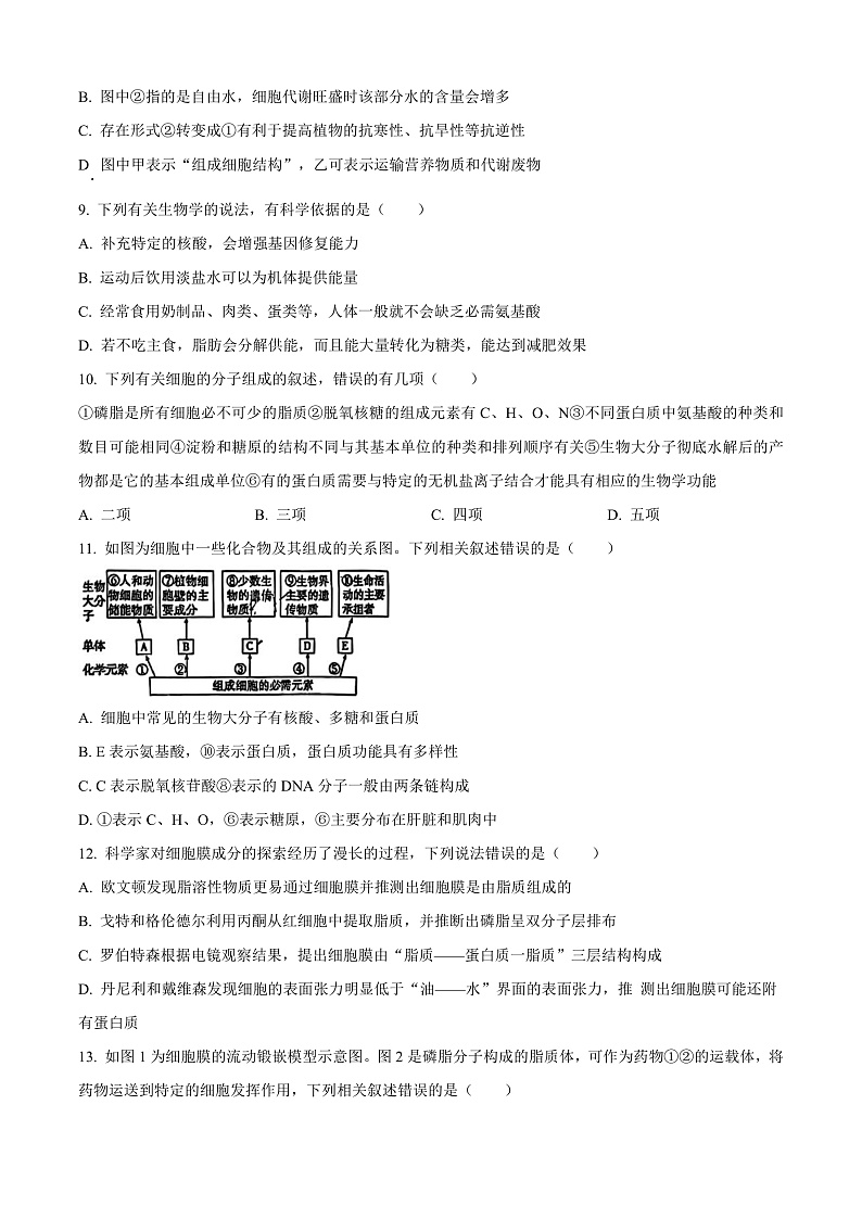 安徽省合肥一六八中学2024-2025学年高一上学期期中生物试卷  Word版无答案第3页