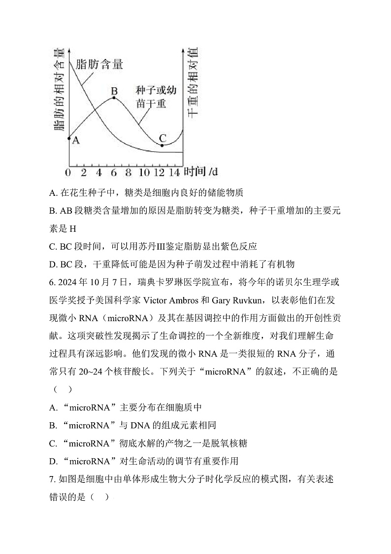 安徽省江淮名校2024-2025学年高一上学期11月期中考试生物试题 Word版无答案第3页