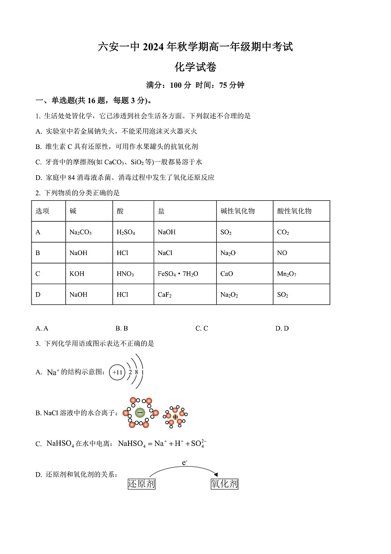 安徽省六安第一中学2024-2025学年高一上学期11月期中考试 化学试题 Word版无答案第1页