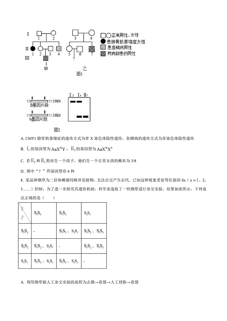 安徽省六安市金安区六安第一中学2024-2025学年高三上学期11月月考生物试题 Word版无答案第3页
