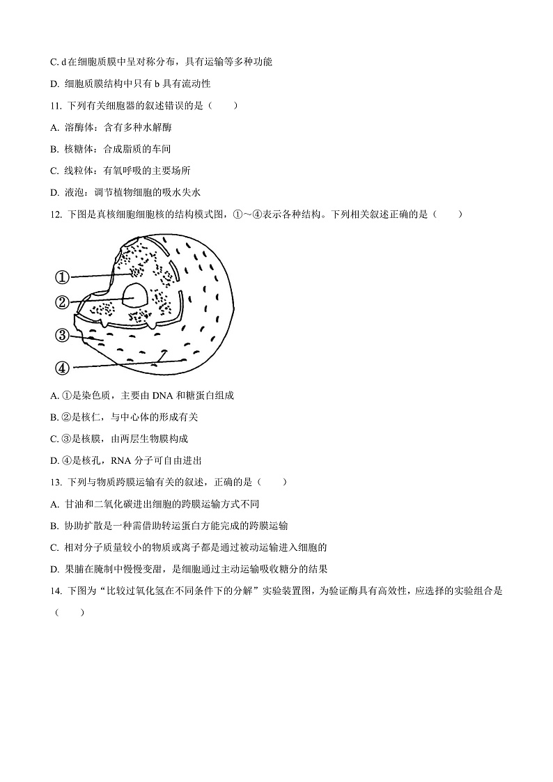 江苏省徐州市铜山区2024-2025学年高二上学期11月期中调研生物试题  Word版无答案第3页