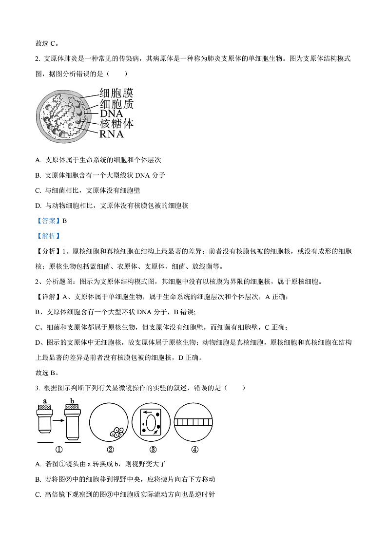 山东省枣庄市滕州市2024-2025学年高一上学期11月期中生物试题  Word版含解析第2页