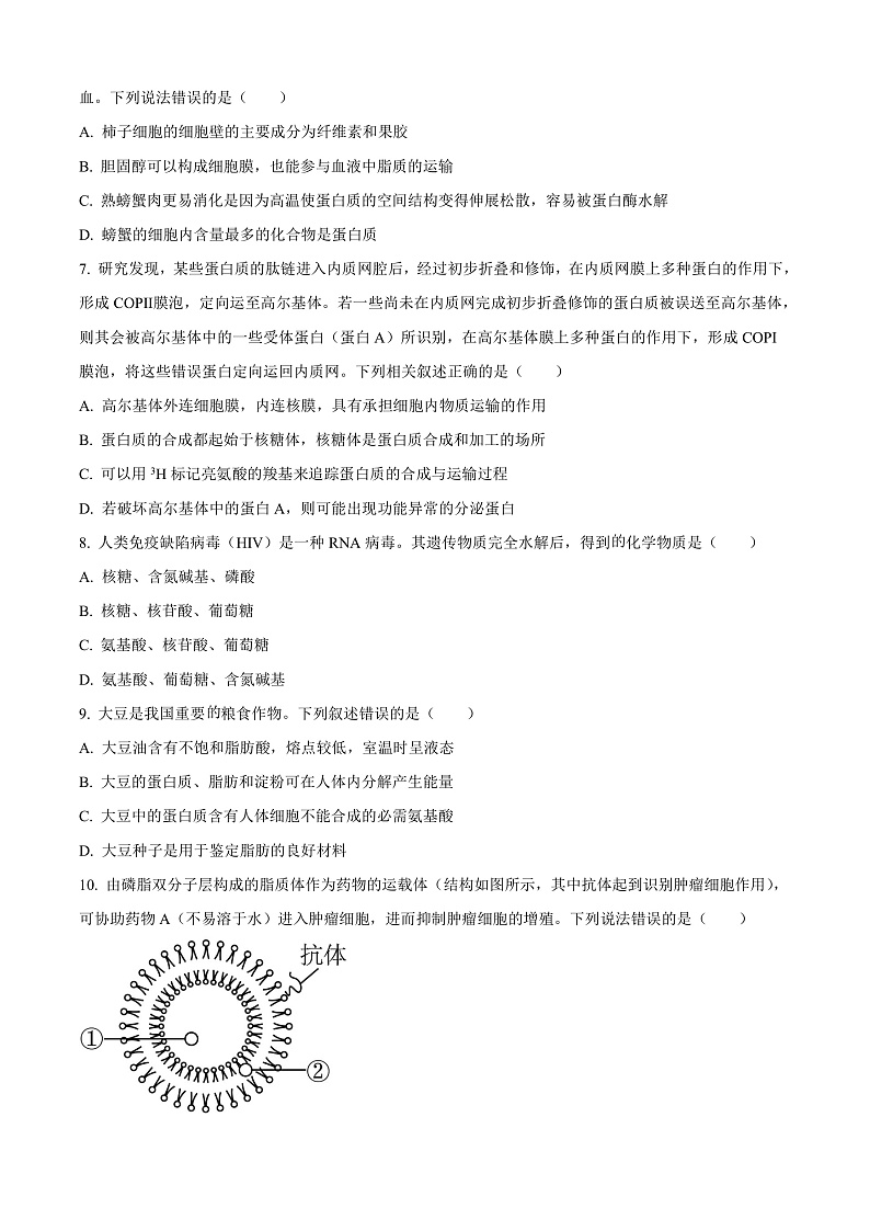 山东省枣庄市滕州市2024-2025学年高一上学期11月期中生物试题  Word版无答案第3页