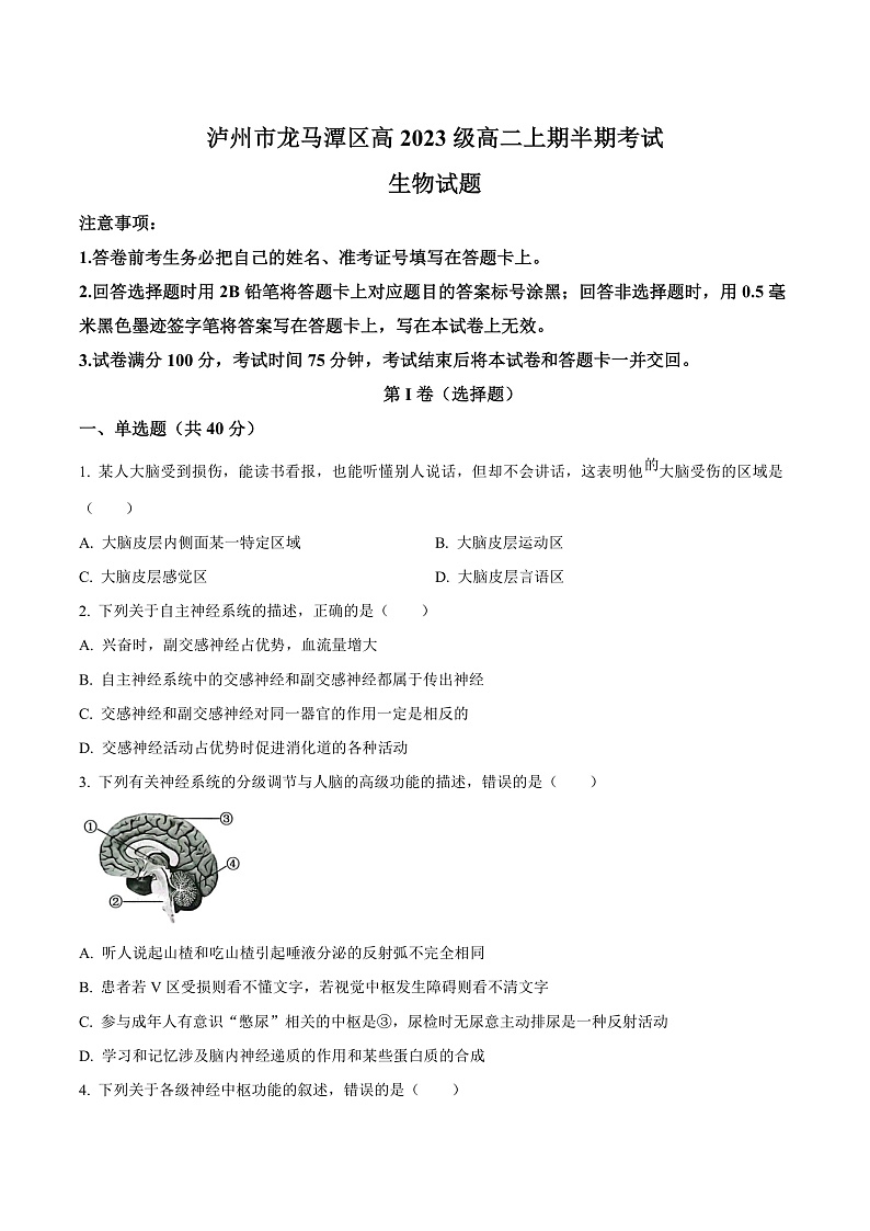 四川省泸州市龙马潭区2024-2025学年高二上学期11月期中生物试题  Word版无答案第1页