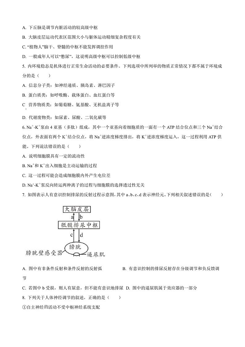 四川省泸州市龙马潭区2024-2025学年高二上学期11月期中生物试题  Word版无答案第2页