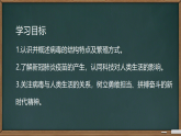 初中  生物  人教版（2024）  七年级上册第四节 病毒 课件