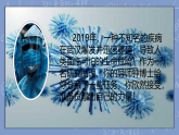 初中  生物  人教版（2024）  七年级上册第四节 病毒 课件