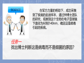 初中  生物  人教版（2024）  七年级上册第四节 病毒 课件