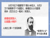 初中  生物  人教版（2024）  七年级上册第四节 病毒 课件
