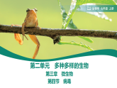初中  生物  人教版（2024）  七年级上册第四节 病毒 课件