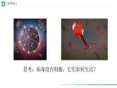 初中  生物  人教版（2024）  七年级上册第四节 病毒 课件