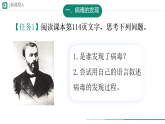 初中  生物  人教版（2024）  七年级上册第四节 病毒 课件