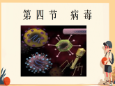 初中  生物  人教版（2024）  七年级上册第四节 病毒 课件