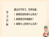 初中  生物  人教版（2024）  七年级上册第四节 病毒 课件