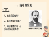 初中  生物  人教版（2024）  七年级上册第四节 病毒 课件