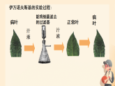 初中  生物  人教版（2024）  七年级上册第四节 病毒 课件