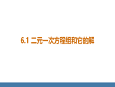 华师大版（2024）七年级数学下册课件 6.1 二元一次方程组和它的解