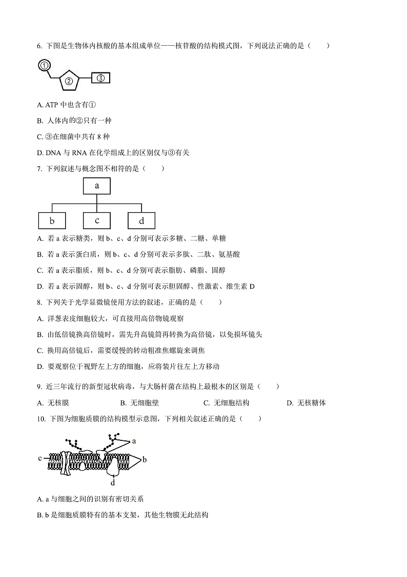 江苏省徐州市铜山区2024-2025学年高二上学期11月期中调研生物试题无答案第2页