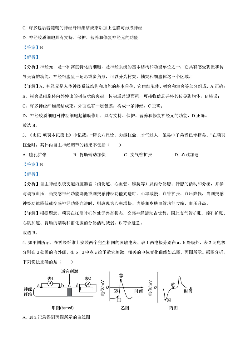 江苏省宿迁市2024-2025学年高二上学期11月期中生物试题含解析第2页