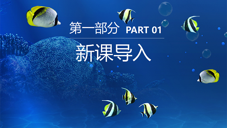 新教材冀美版一年级上册美术第七单元海底世界第二课鱼儿真美丽课件第3页